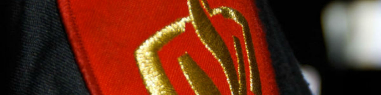 Brandweer logo