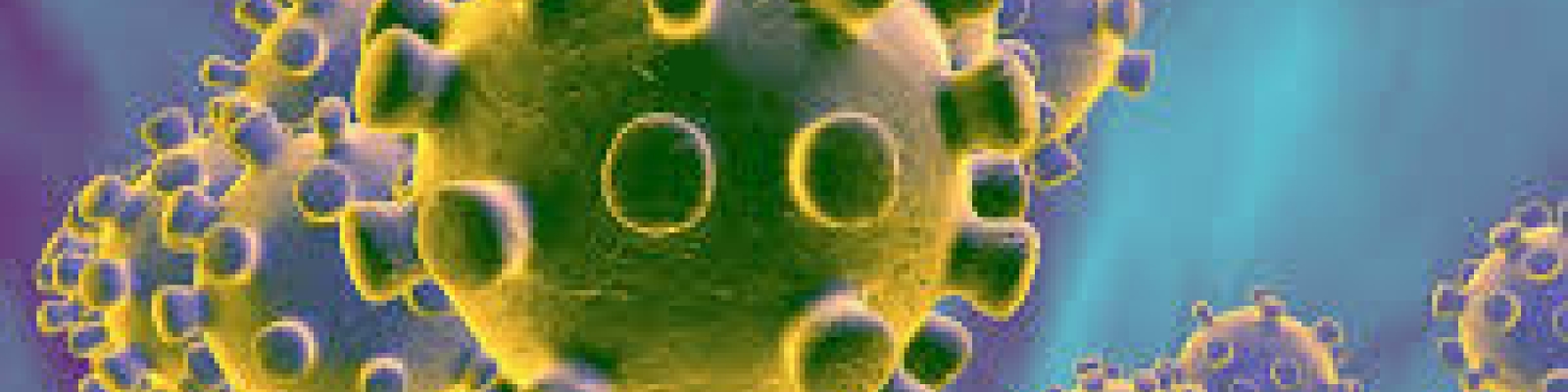 Coronavirus