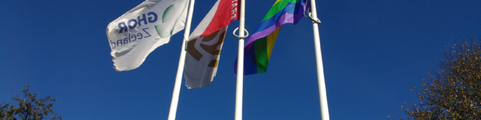 Regenboogvlag